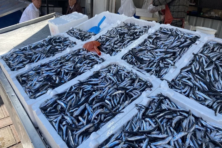 Balık fiyatları arttı vatandaş tezgahlara uğramıyor haberinin görseli