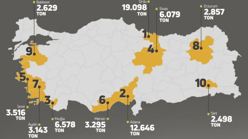 Balıkesir’in Bal şehri olduğu tescillendi (2)