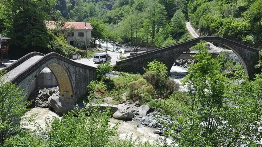 kamilet_ilkses