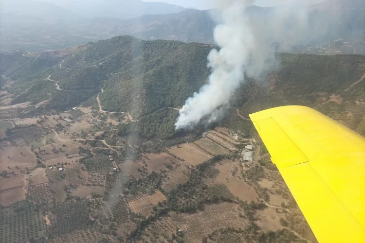 İzmir'de ormanlık alanda yangın haberinin görseli
