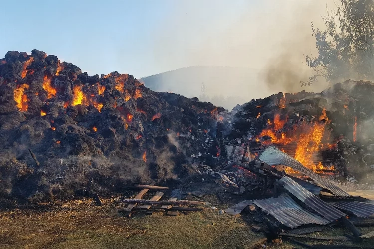 Karabük'te yangınların faili olduğu iddia edilen bekçi gözaltına alındı