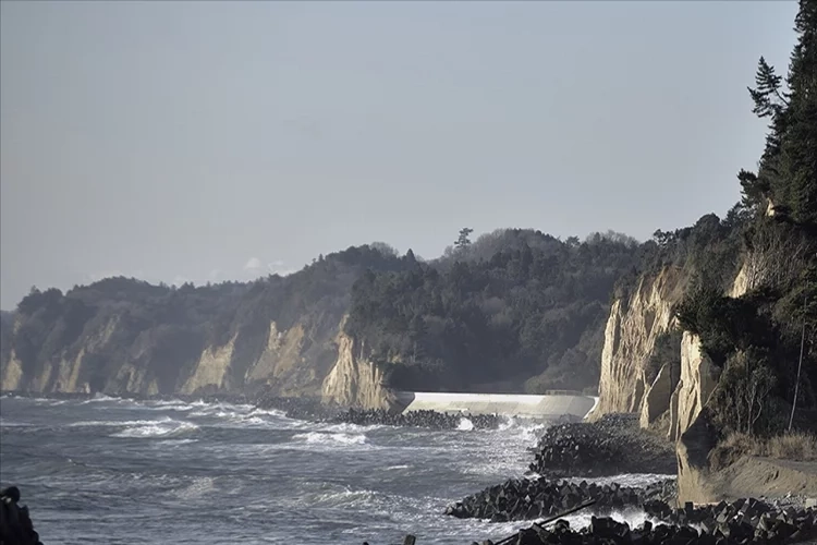 Japonya'ya tsunami uyarısı haberinin görseli