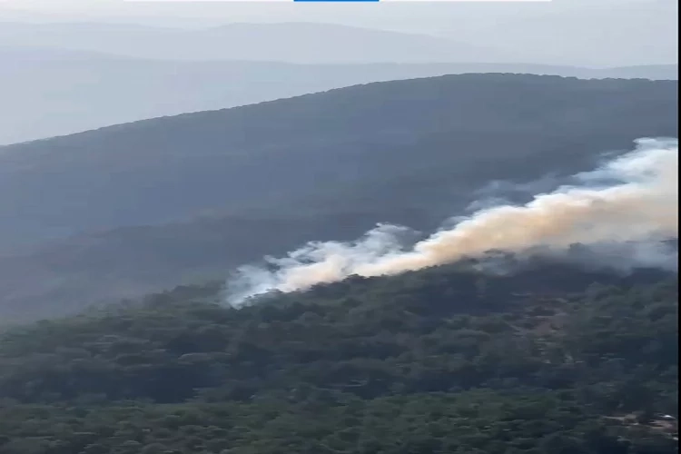 Muğla'da orman yangını: 09/10/2023 haberinin görseli