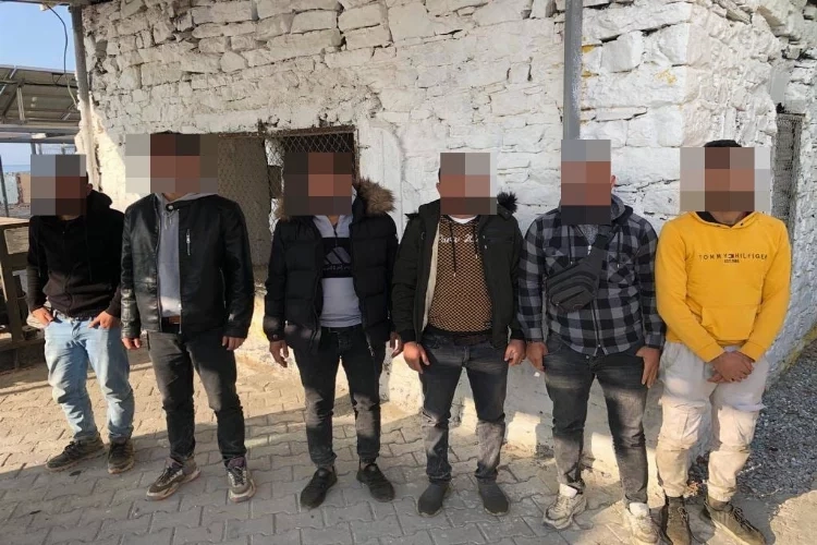 Aydın'da düzensiz göçmenlerin gizlendiği yer şok etti haberinin görseli