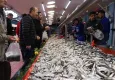 Bolu'da hamsi kuyruğu... Balık tezgahları canlandı