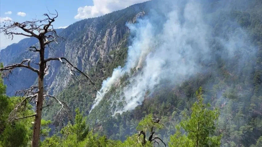 Burdur Karanlıkdere Kanyonu'nda orman yangını haberinin görseli