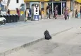 Cadde ortasında duran çanta polisi harekete geçirdi