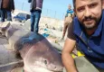Dev köpekbalığı ile selfie yaptılar