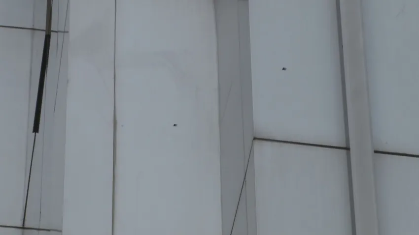 dp silahlı saldırı