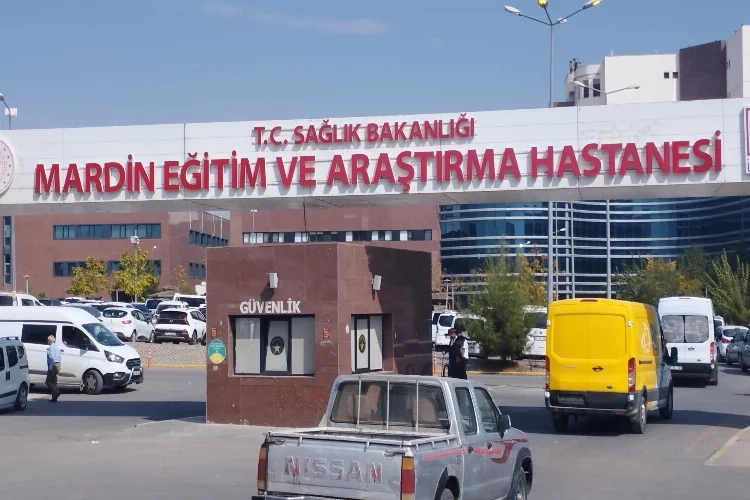 Mardin'de trafik kazası: Sürücü tüm çabalara rağmen... haberinin görseli