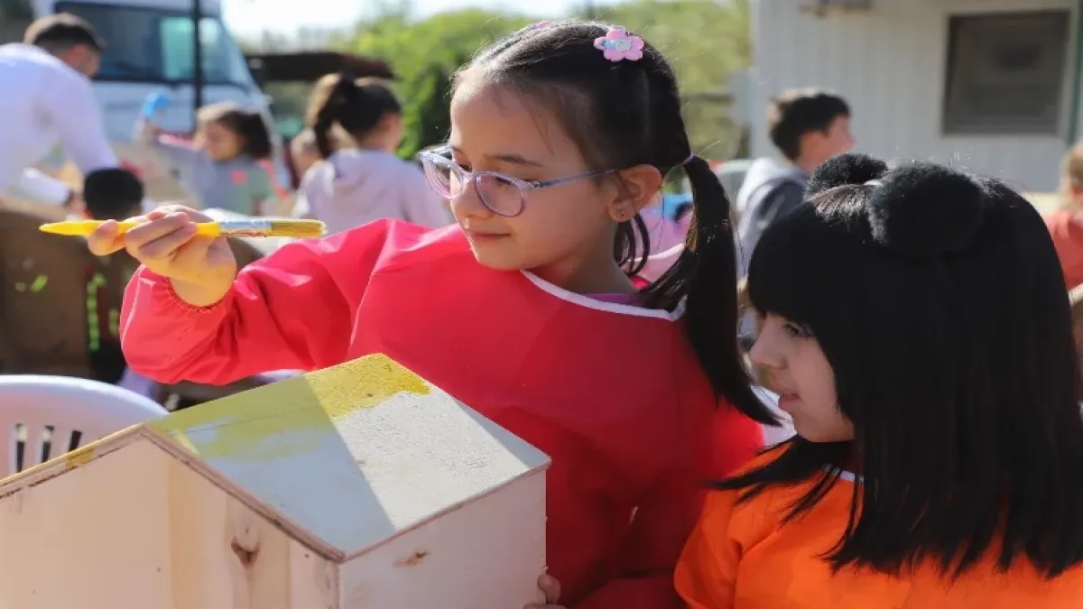 Sokak hayvanları için hazırlanan kulübelere öğrenci eli değdi haberinin görseli