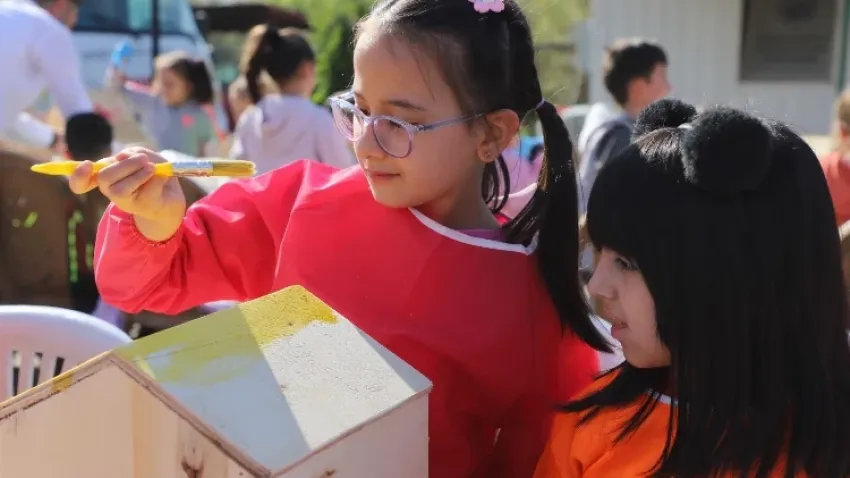 Sokak hayvanları için hazırlanan kulübelere öğrenci eli değdi haberinin görseli