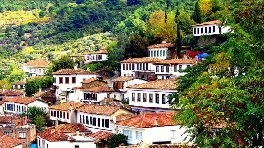UNESCO adayı köyde ‘Kanalizasyon’ krizi (2)
