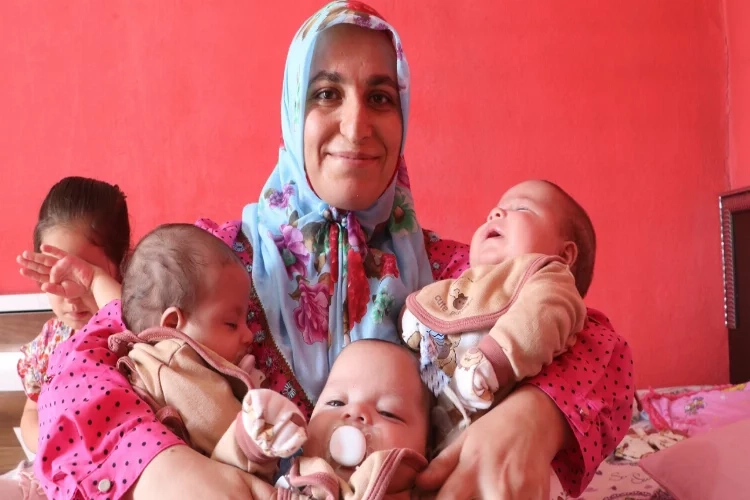 Depremzede aile üçüz bebekleriyle hayata tutundu haberinin görseli