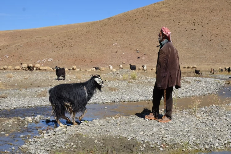 Siirtli besicinin bir aylık yolculuğu başladı