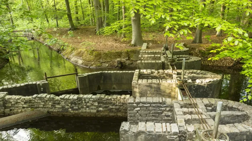 waterloopbos_ilkses