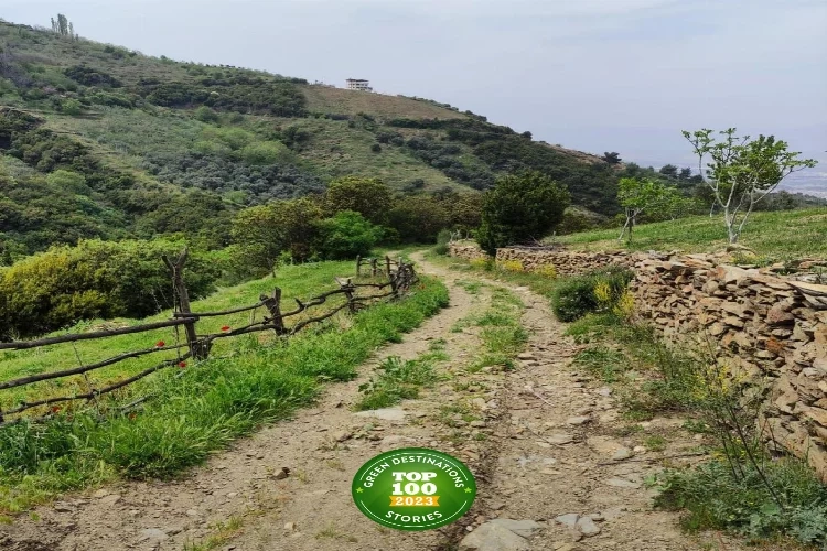 Efeler Yolu, En İyi 100 Hikâye listesinde haberinin görseli
