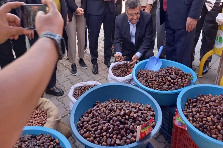 Sinop’ta Kestane Festivali'nde 1 ton kestane tüketildi