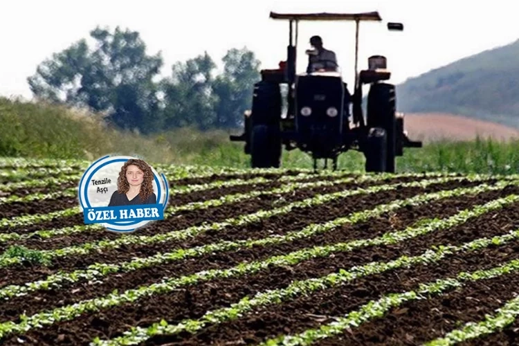 Üretimde dibe yaklaşıyoruz: 3,5 milyon hektar tarım arazisi ekilmiyor haberinin görseli