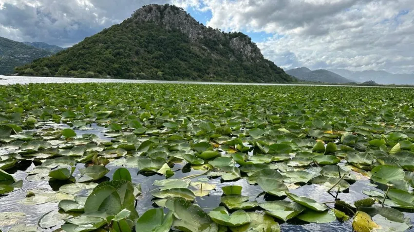 skadar gölü
