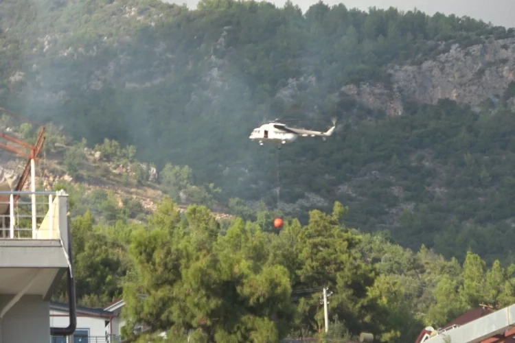 Alanya'da ormanlık alanda yangın çıktı