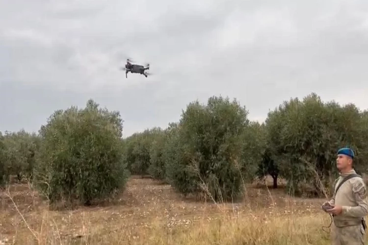 Komandolardan zeytin bahçelerinde hırsızlığa karşı önlem