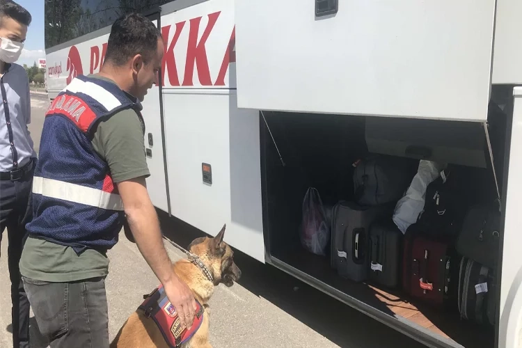 Eskişehir’de düzensiz göçmenlere ceza haberinin görseli
