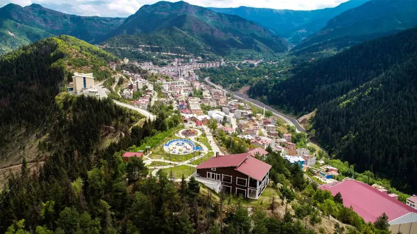 savsatartvin_ilkses