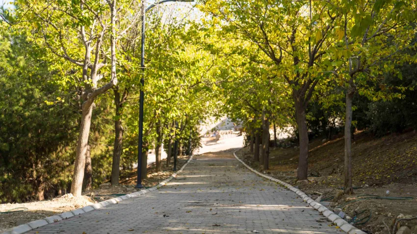 Meriç Yaşayan Parkı (4)