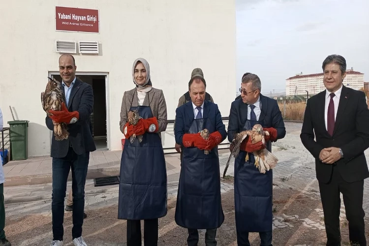 Tedavilere tamamlanan yırtıcı kuşları doğaya salındı haberinin görseli