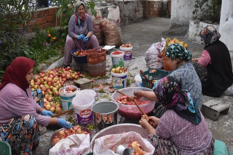 Bin bir emekle sofralara ulaşıyor! Aliağa'da nar ekşisi hasadı haberinin görseli