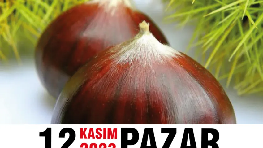 kestane festivali coşkusu (2)