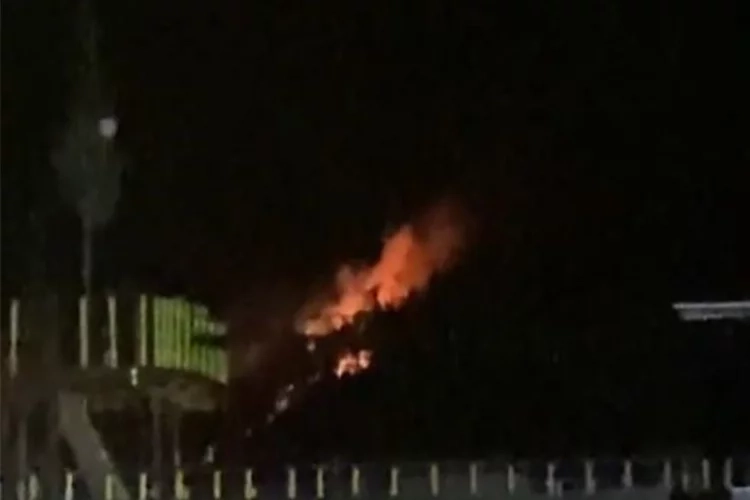 Muğla’da orman yangını haberinin görseli