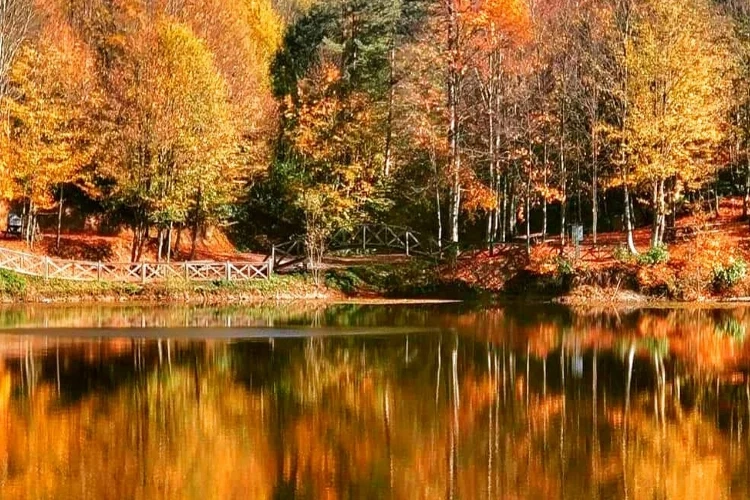 Büyüleyici manzara: Adeta bir tablo gibi