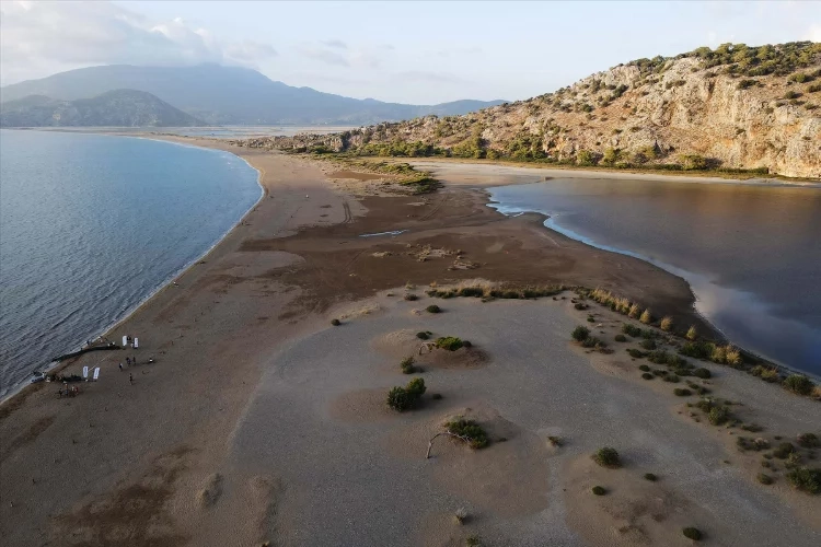 İztuzu sahilinde 35 bin caretta caretta sularla buluştu