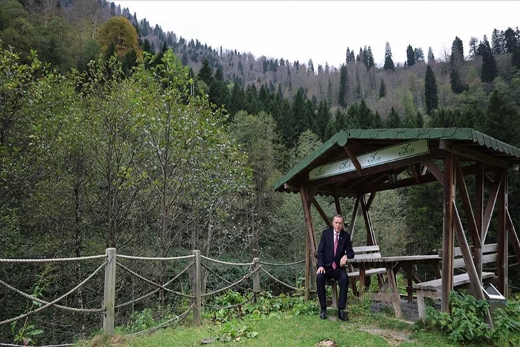 Cumhurbaşkanı Erdoğan, Rize'de incelemelerde bulundu haberinin görseli