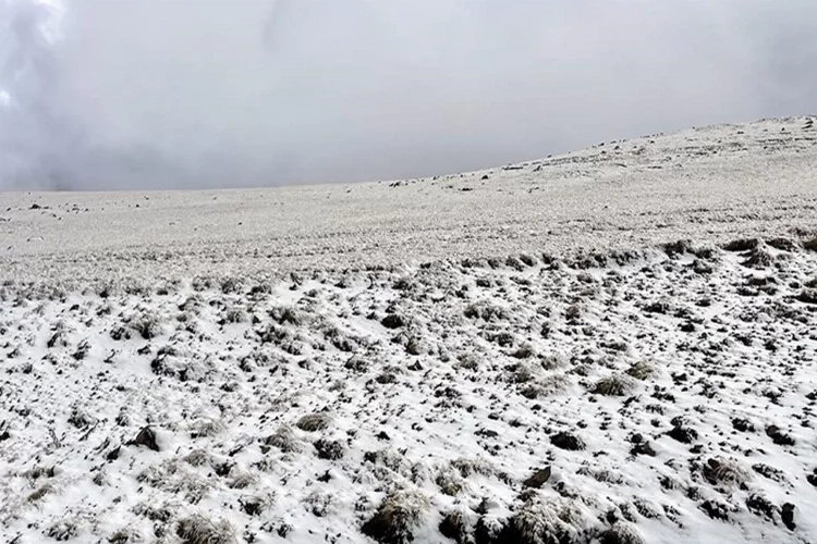 Kars ve Ardahan'da kar başladı! haberinin görseli