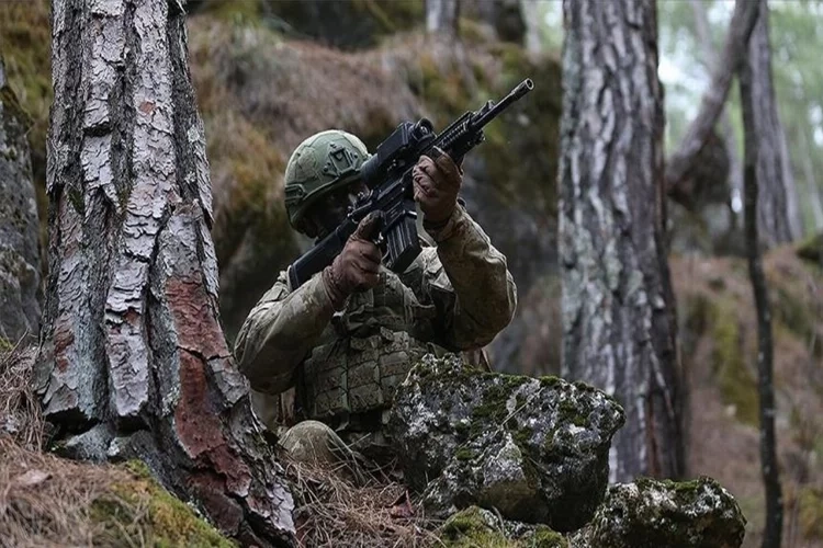 Terör örgütü PKK'nın sözde sorumlusu etkisiz hale getirildi haberinin görseli