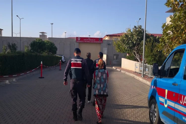 Jandarma devriyelerinden zeytin hırsızlarına suçüstü haberinin görseli