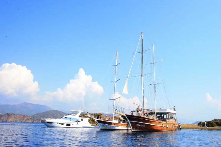 Orman yangınlarının ekosisteme etkileri araştırılıyor haberinin görseli