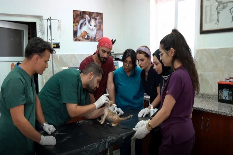 Gaziantep’te 535 öğrenciye staj imkanı haberinin görseli