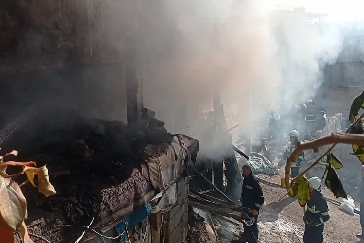 Siirt'te yangın paniği! 3 katlı binanın odunluğu küle döndü haberinin görseli