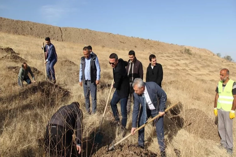 Çorum'da ağaçlandırma etkinliği düzenlendi