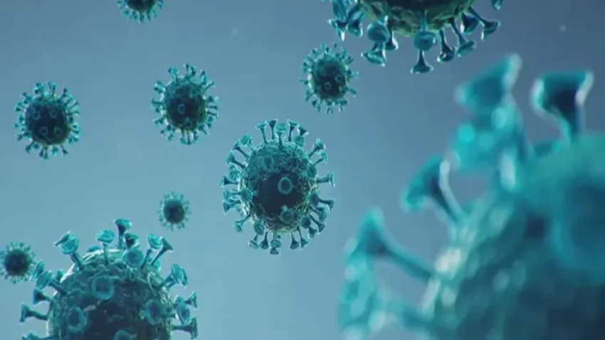 Sadece erkekleri öldüren virüsün adı ne? Virüs neden sadece erkekleri öldürüyor? haberinin görseli