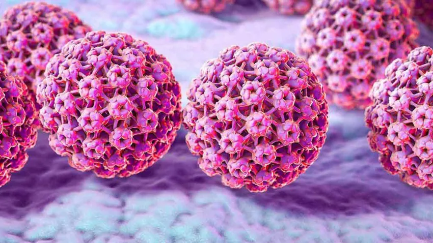 HPV VİRÜSÜ