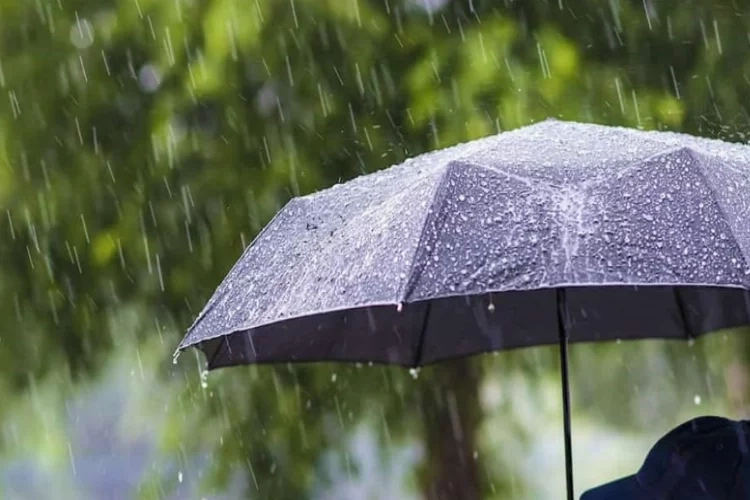 Kütahya’da hafta sonu hava nasıl olacak? 11/12 Kasım 2023 haberinin görseli