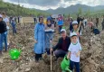 Muğla’da binlerce fidan toprakla buluştu