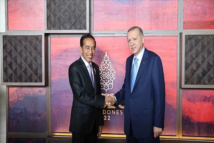 Cumhurbaşkanı Erdoğan, Joko Widodo ile görüştü  haberinin görseli