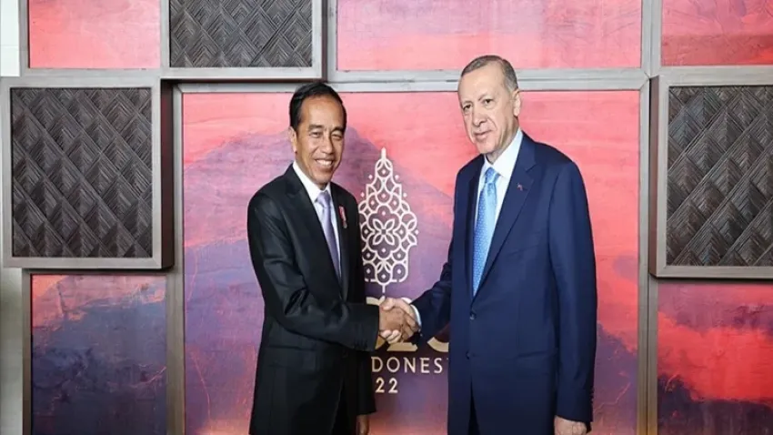Cumhurbaşkanı Erdoğan, Joko Widodo ile görüştü  haberinin görseli