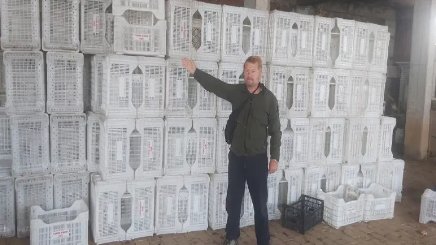 Tarım Kredi üreticisi zor durumda: Tohum için borçlandılar zeytinleri almaya gelen yok haberinin görseli